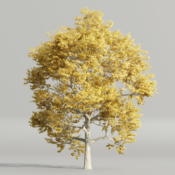 Autumn Maple Trees Collection vol 147-Blender