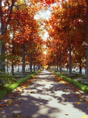 Autumn Road - Full Model Sketchup - V-ray Render