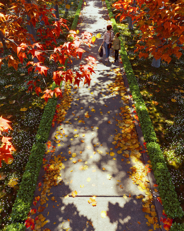 Autumn Road - Full Model Sketchup - V-ray Render