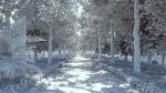 Autumn Road - Full Model Sketchup - V-ray Render