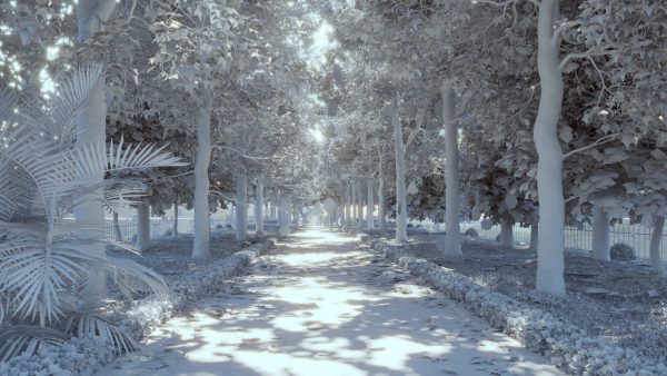 Autumn Road - Full Model Sketchup - V-ray Render