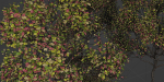 Autumn trees collection vol 32-Blender