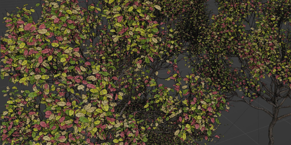 Autumn trees collection vol 32-Blender