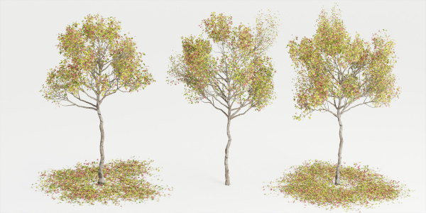 Autumn trees collection vol 32-Blender