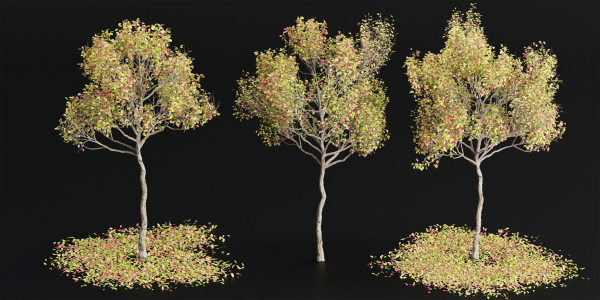 Autumn trees collection vol 32-Blender