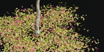 Autumn trees collection vol 32-Blender