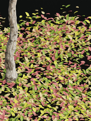 autumn-trees-collection-vol-32-blender-3d-model-ed8644ba4c