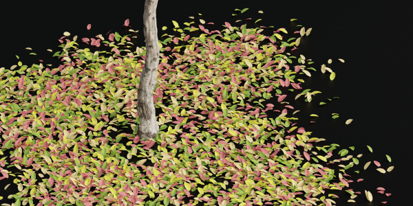 Autumn trees collection vol 32-Blender
