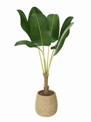 baa-artificial-plant-with-plantpot-3d-model-73050292fc