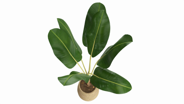Baa artificial plant with plantpot