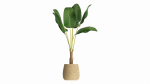Baa artificial plant with plantpot