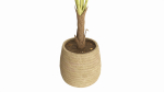 Baa artificial plant with plantpot
