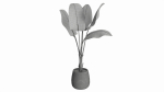 Baa artificial plant with plantpot