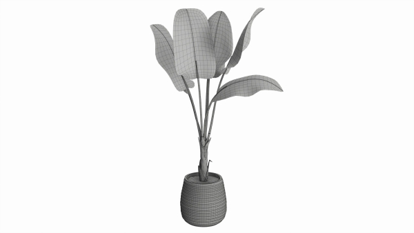 Baa artificial plant with plantpot