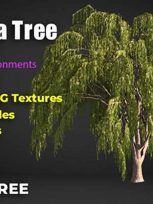 Babylonica Tree