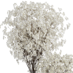 Babys Breath Bouquet3