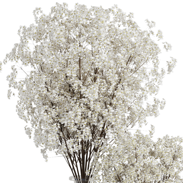Babys Breath Bouquet3