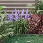 Backyard landscaping with plants vol 180