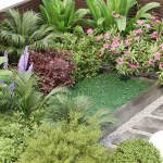 Backyard landscaping with plants vol 180