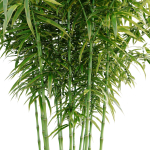 Bamboo Bush - 4K PBR Materials