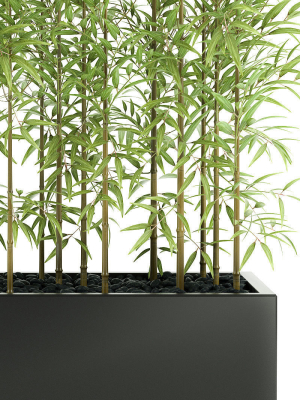 bamboo-plant-3d-model-max-fbx