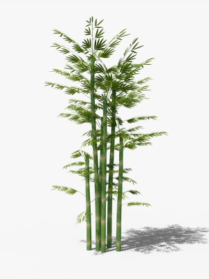bamboo-plant-bush-3d-model-4dbf812088
