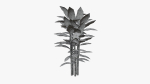 Bamboo plant bush