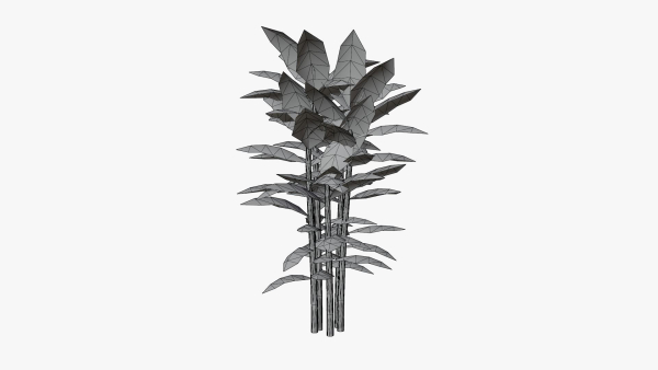 Bamboo plant bush