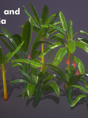 Banana and Strelitzia Plants