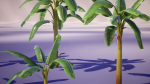 Banana and Strelitzia Plants