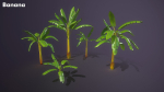 Banana and Strelitzia Plants