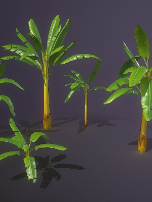 banana-and-strelitzia-plants-3d-model-7e374d7659