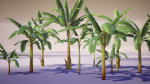 Banana and Strelitzia Plants