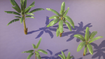 Banana and Strelitzia Plants