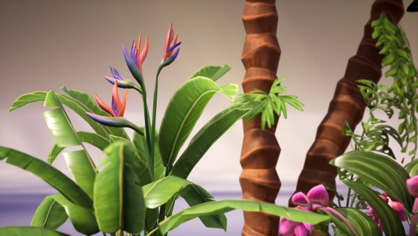 Banana and Strelitzia Plants
