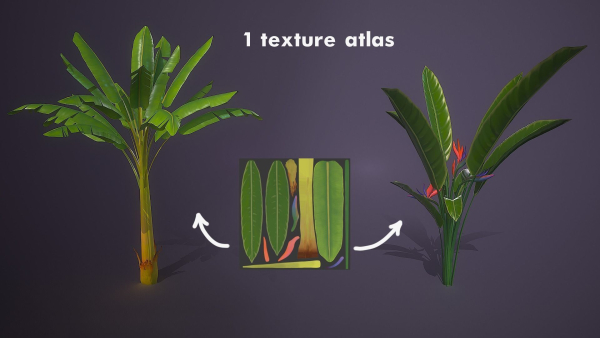 Banana and Strelitzia Plants