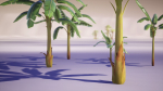 Banana and Strelitzia Plants