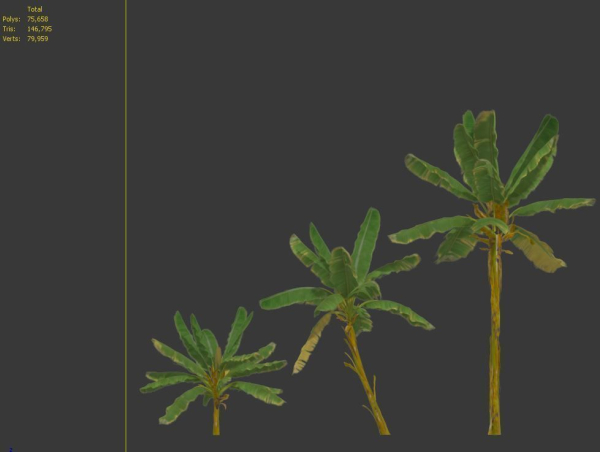 Banana Tree