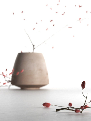barberry-in-pot-3d-model-57db541c67