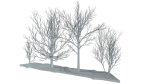 Bare trees Low-poly