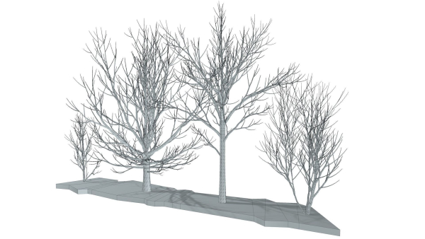 Bare trees Low-poly