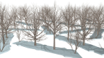 Bare trees Low-poly