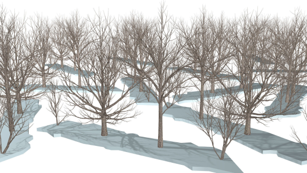 Bare trees Low-poly