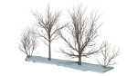 Bare trees Low-poly