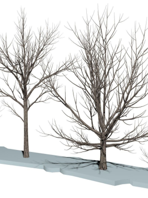 Bare trees Low-poly