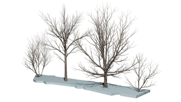 Bare trees Low-poly