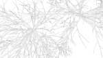 Bare trees Low-poly