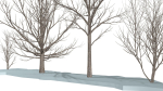 Bare trees Low-poly