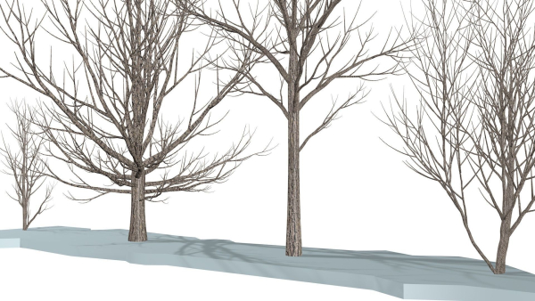 Bare trees Low-poly