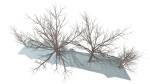 Bare trees Low-poly